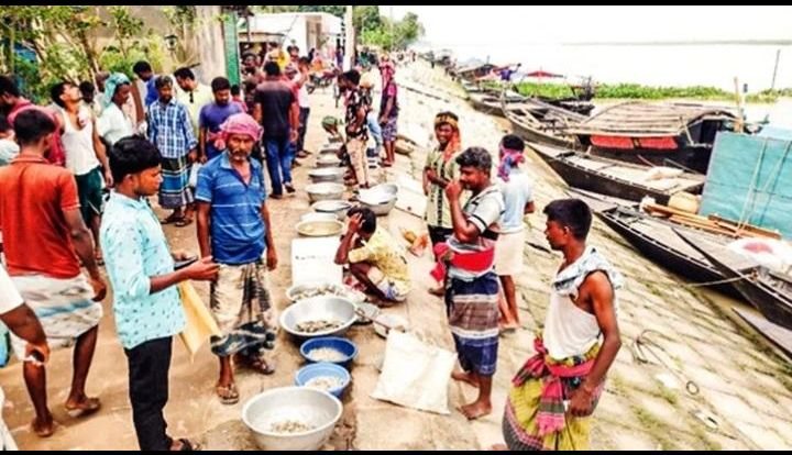 পদ্মা নদী , দৌলতপুর